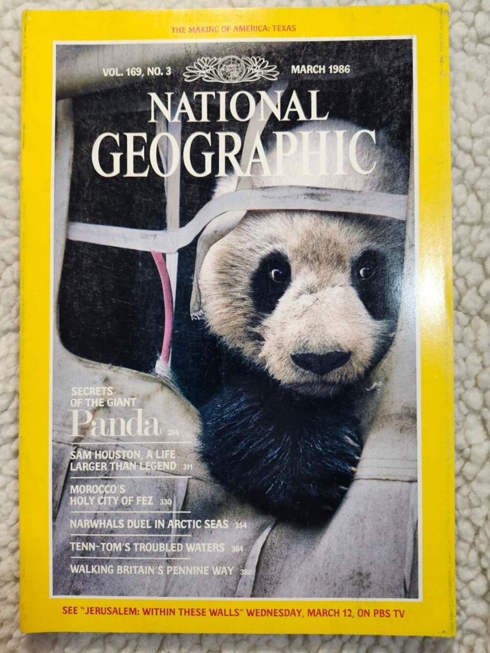 National Geographic Magazine March 1986 Vol 169 No 3 Panda Cover Collectors Item